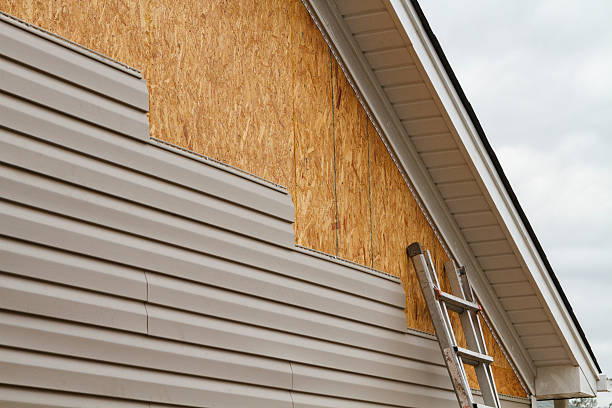 Professional Storm Damage Siding Repair technician working in Springfield, TN